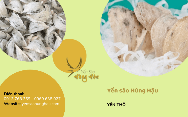yến sào
