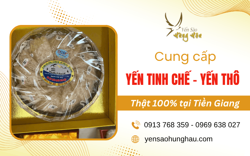 yến tinh chế tiền Giang