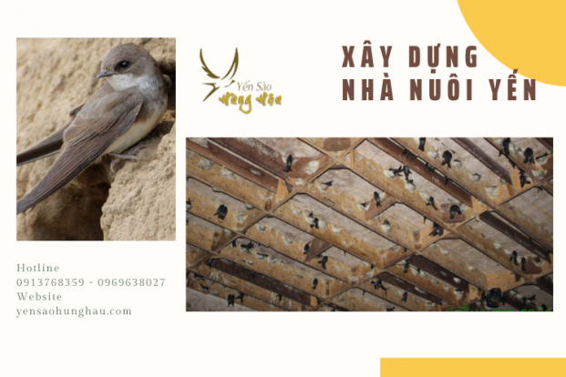 Những điểm cần lưu ý khi xây dựng nhà yến với Yến Sào Hùng Hậu
