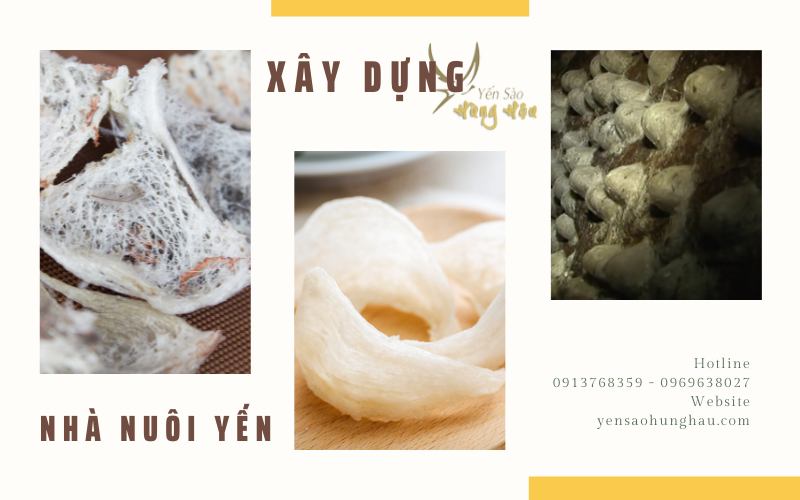nhà nuôi yến