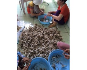 Yến Sào Hùng Hậu Thô_6